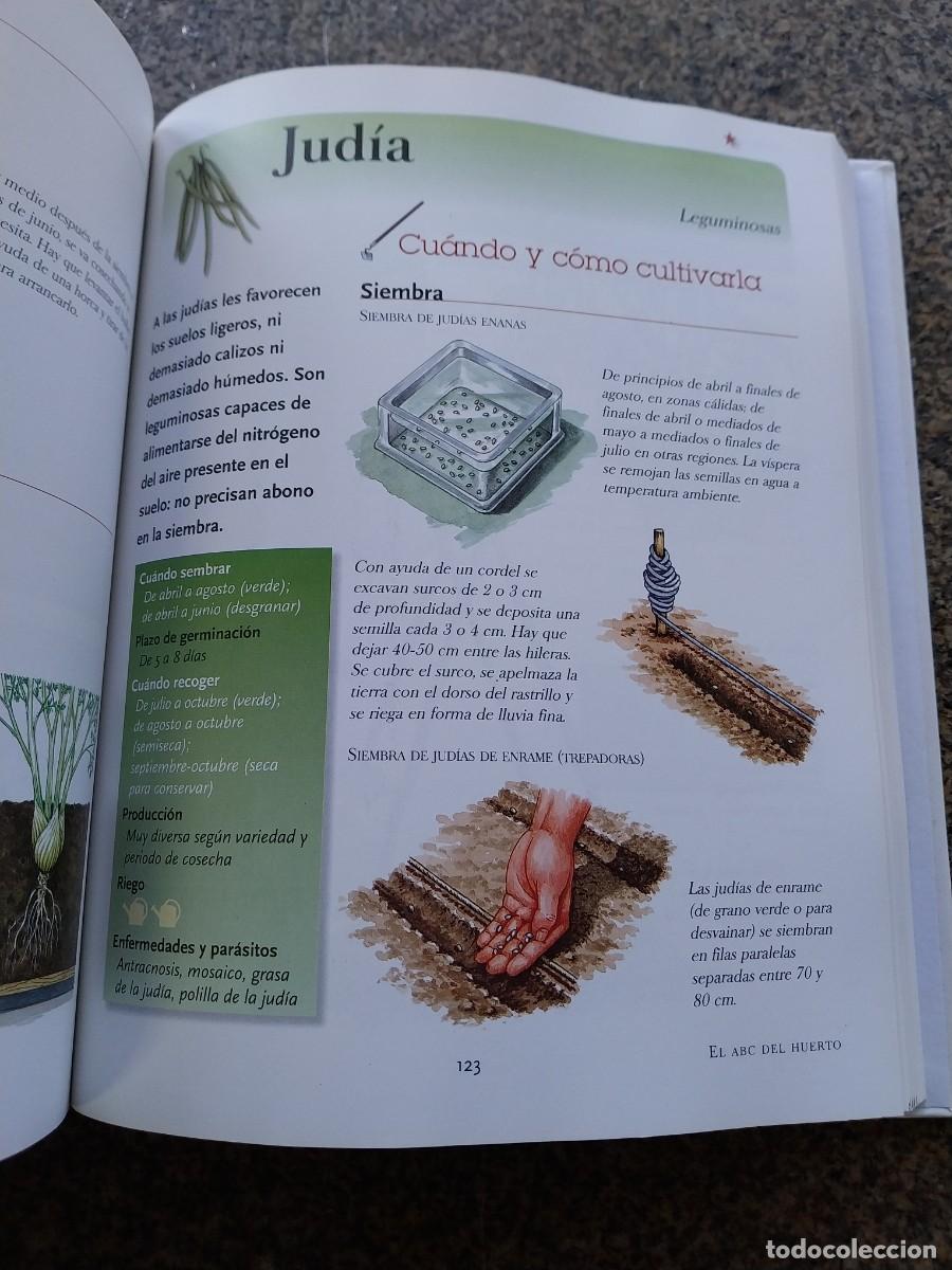 Libros de segunda mano: EL ABC DEL HUERTO PASO A PASO -- SUSAETA -- - Foto 2