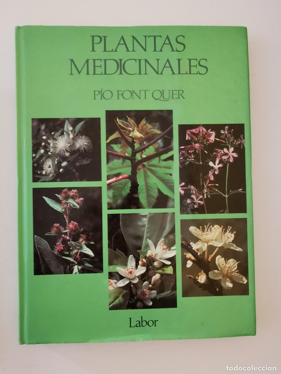 Libros de segunda mano: Plantas medicinales. Pio Font Quer - Foto 1