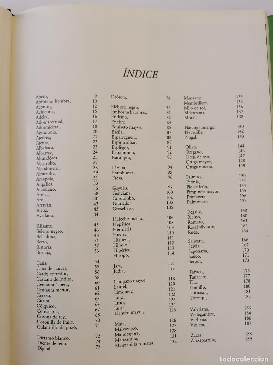 Libros de segunda mano: Plantas medicinales. Pio Font Quer - Foto 2
