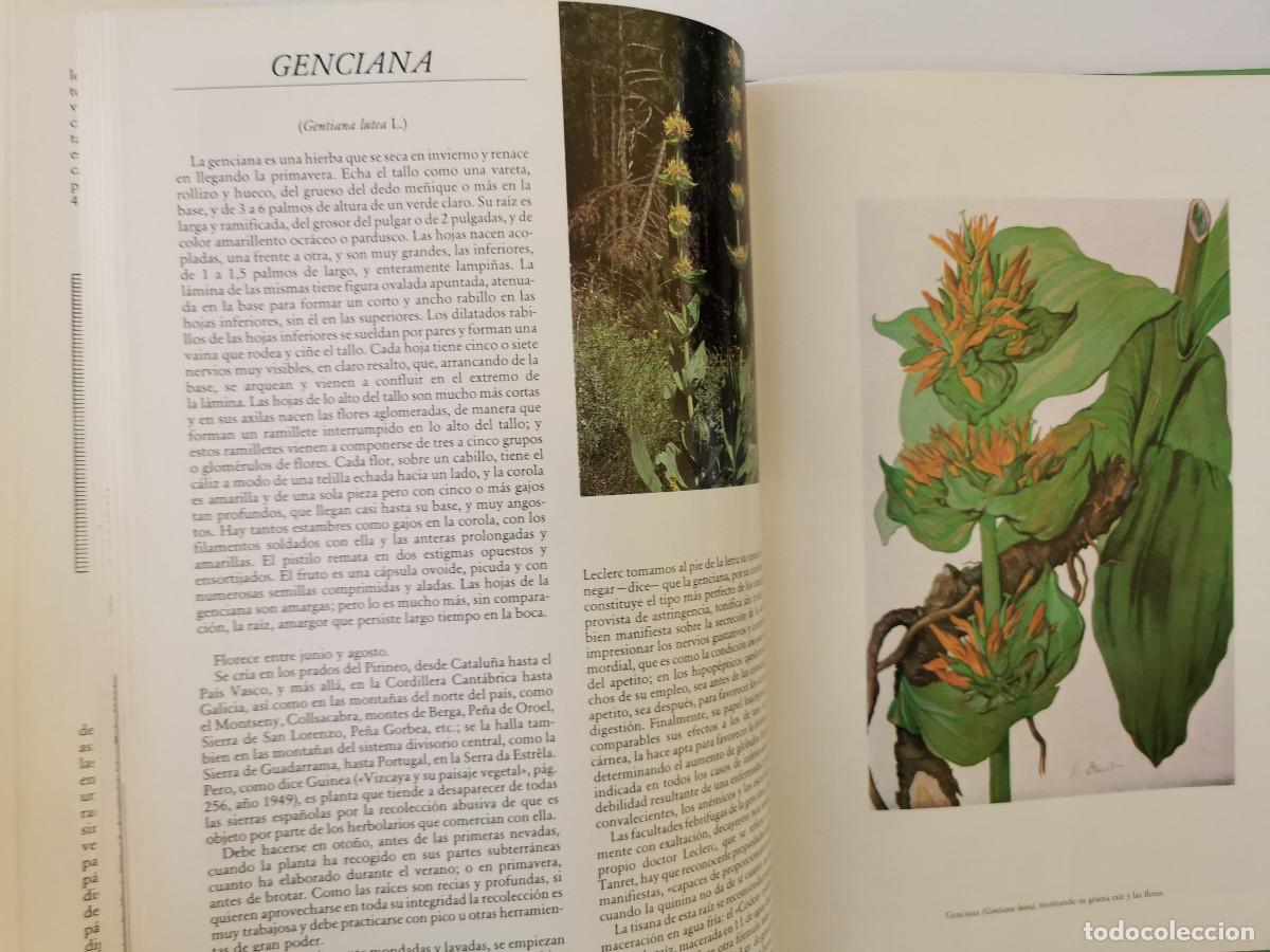 Libros de segunda mano: Plantas medicinales. Pio Font Quer - Foto 3