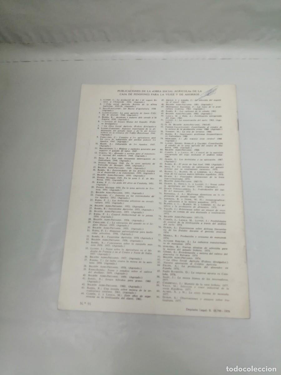 Libros de segunda mano: La Procesionaria del Pino - Foto 2