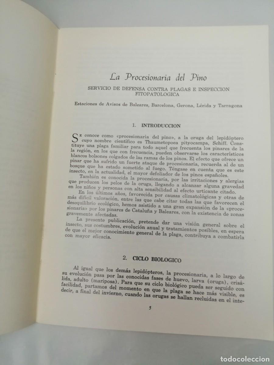 Libros de segunda mano: La Procesionaria del Pino - Foto 3