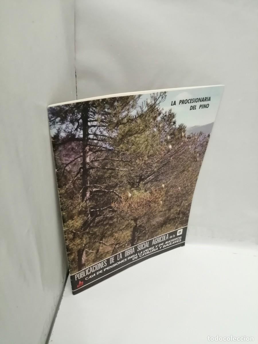 Libros de segunda mano: La Procesionaria del Pino - Foto 4