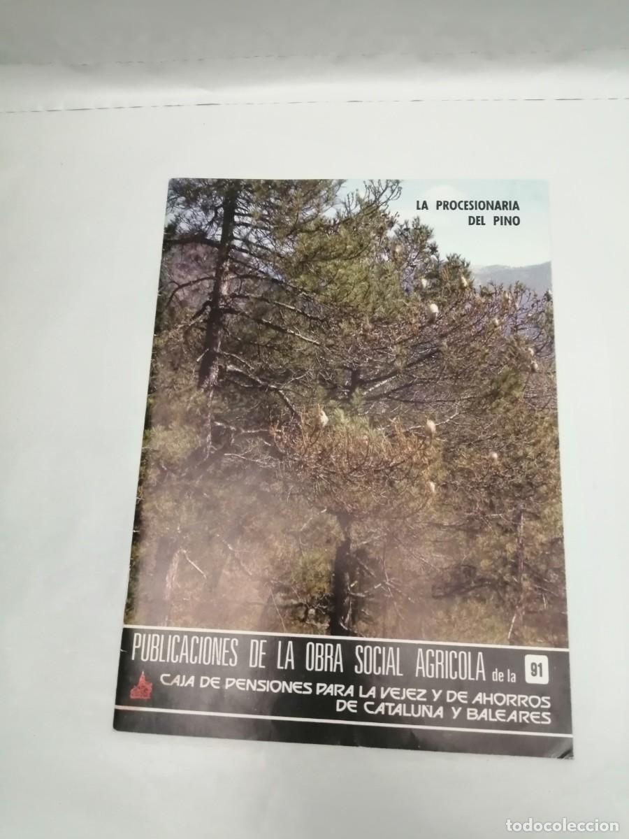 Libros de segunda mano: La Procesionaria del Pino - Foto 1