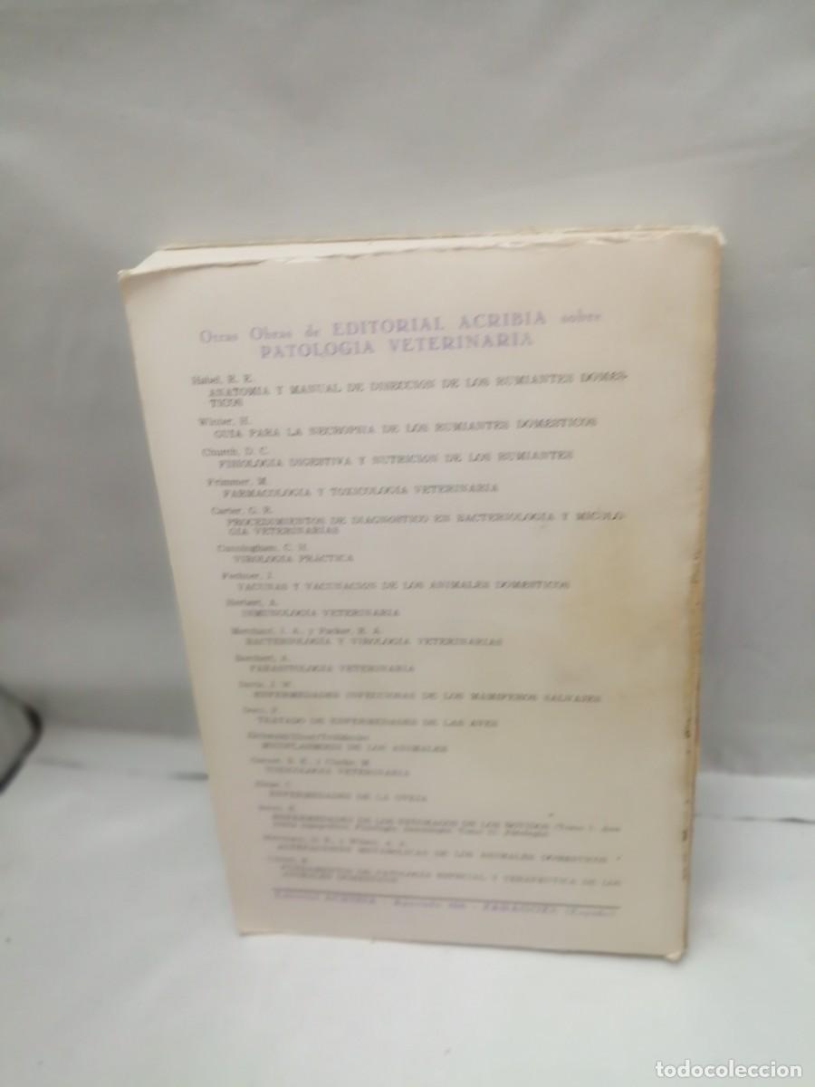 Libros de segunda mano: Enfermedades del ganado bovino - Foto 2