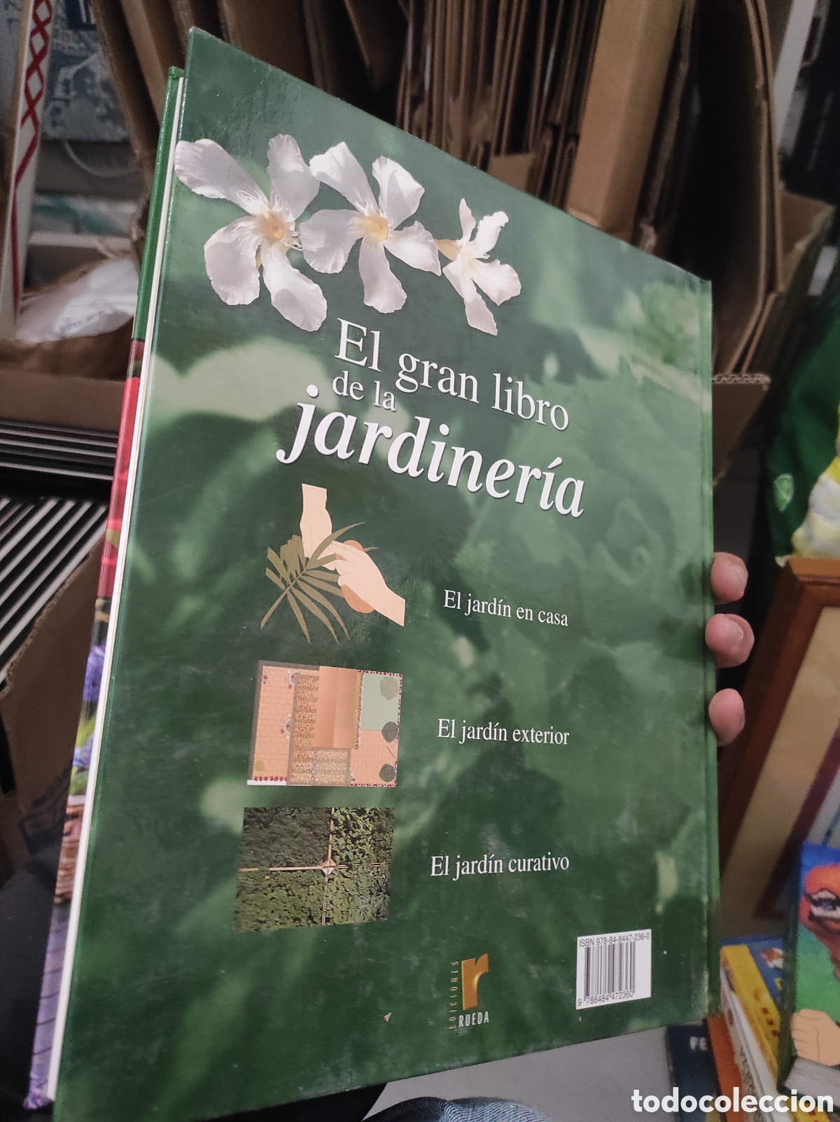 Libros de segunda mano: EL GRAN LIBRO DE LA JARDINERIA - EDICIONES RUEDA (PEDIDO MINIMO 5&euro;) - Foto 2