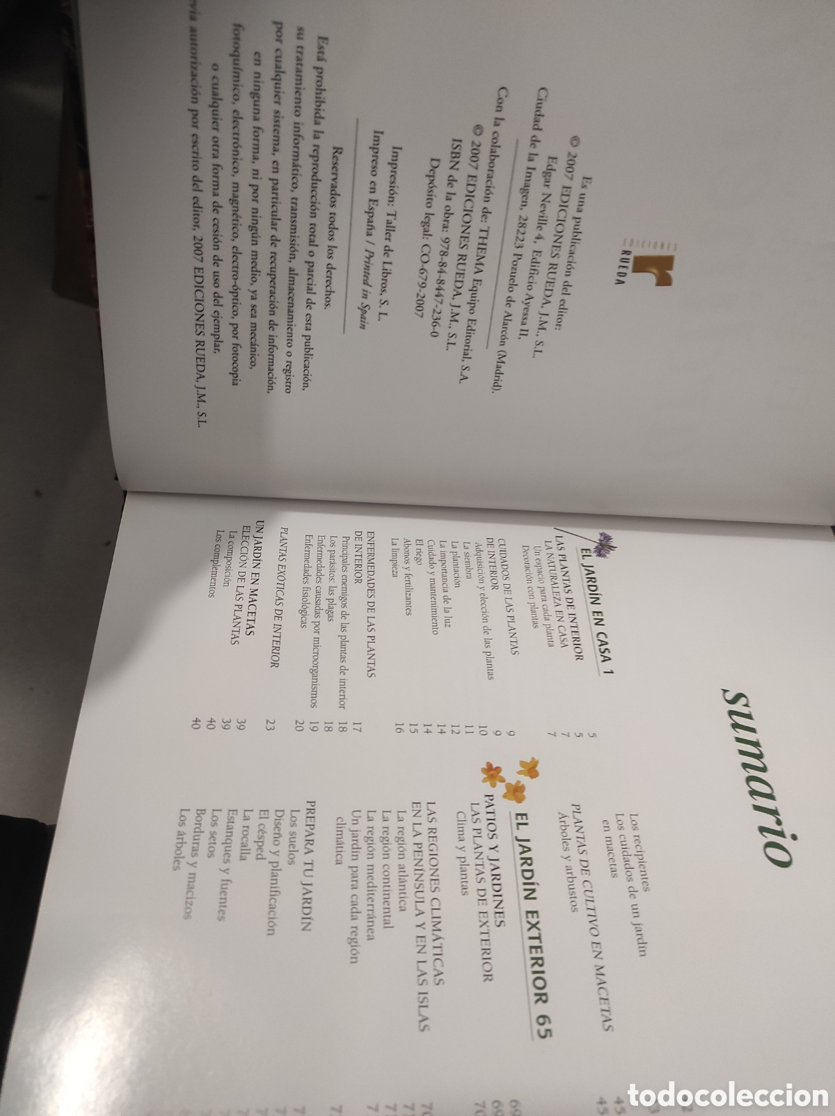 Libros de segunda mano: EL GRAN LIBRO DE LA JARDINERIA - EDICIONES RUEDA (PEDIDO MINIMO 5&euro;) - Foto 3