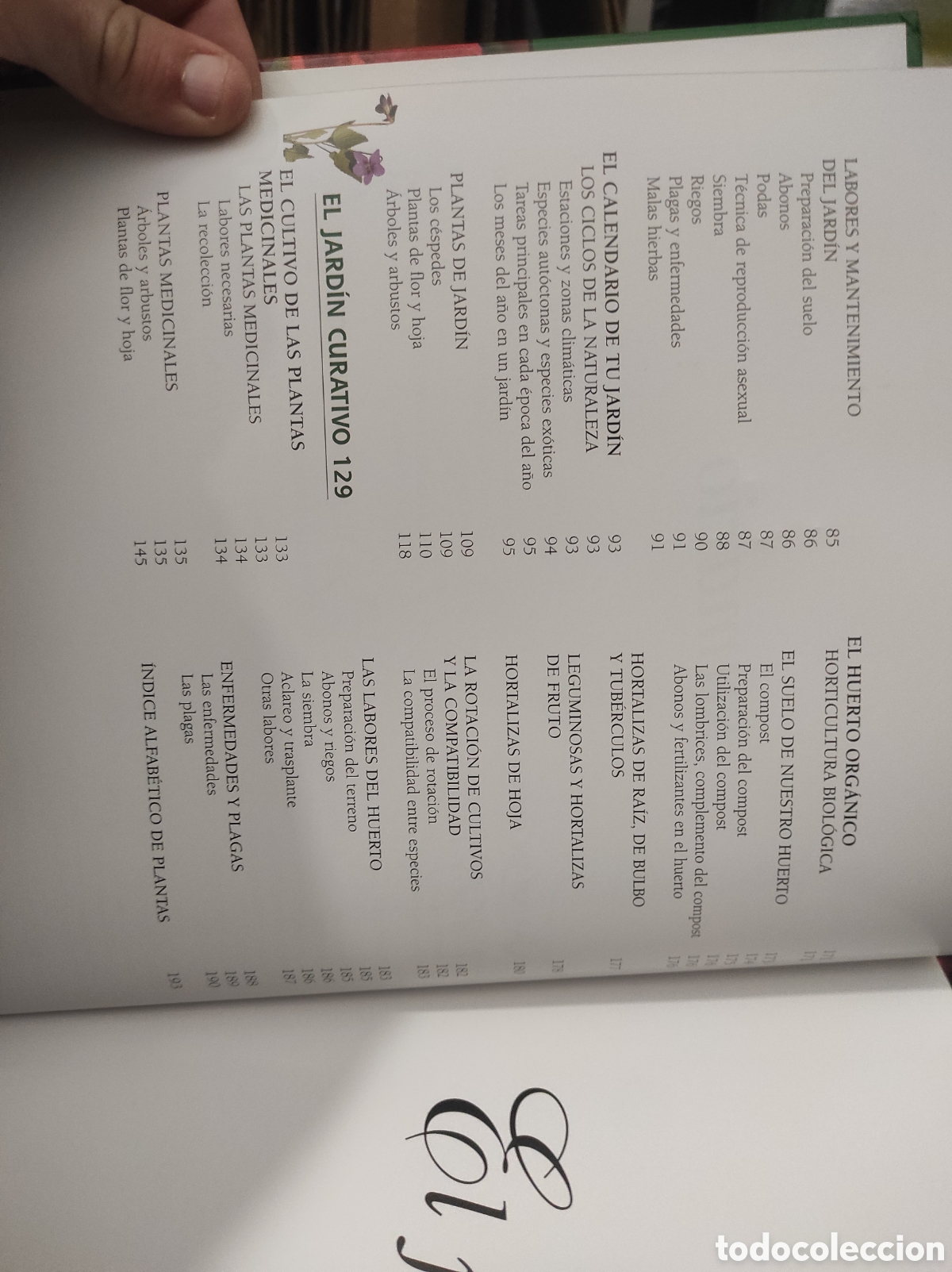 Libros de segunda mano: EL GRAN LIBRO DE LA JARDINERIA - EDICIONES RUEDA (PEDIDO MINIMO 5&euro;) - Foto 4