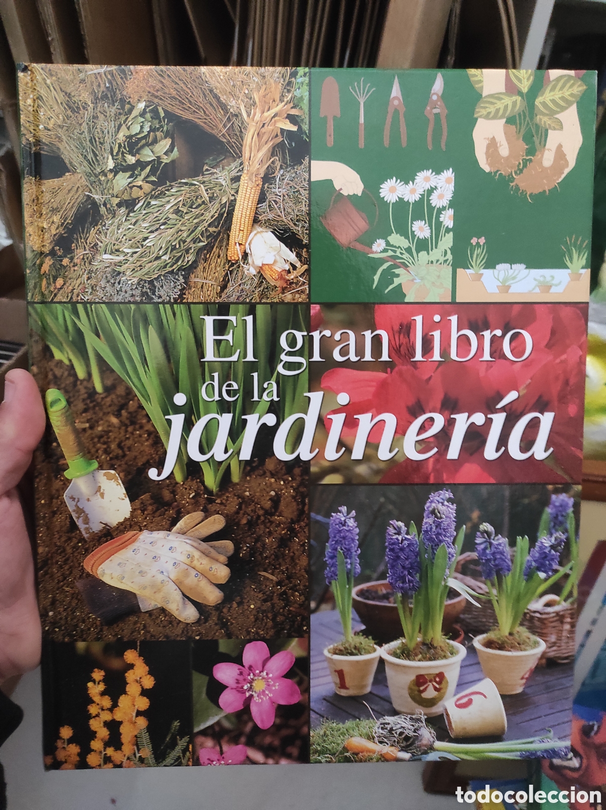 Libros de segunda mano: EL GRAN LIBRO DE LA JARDINERIA - EDICIONES RUEDA (PEDIDO MINIMO 5&euro;) - Foto 1