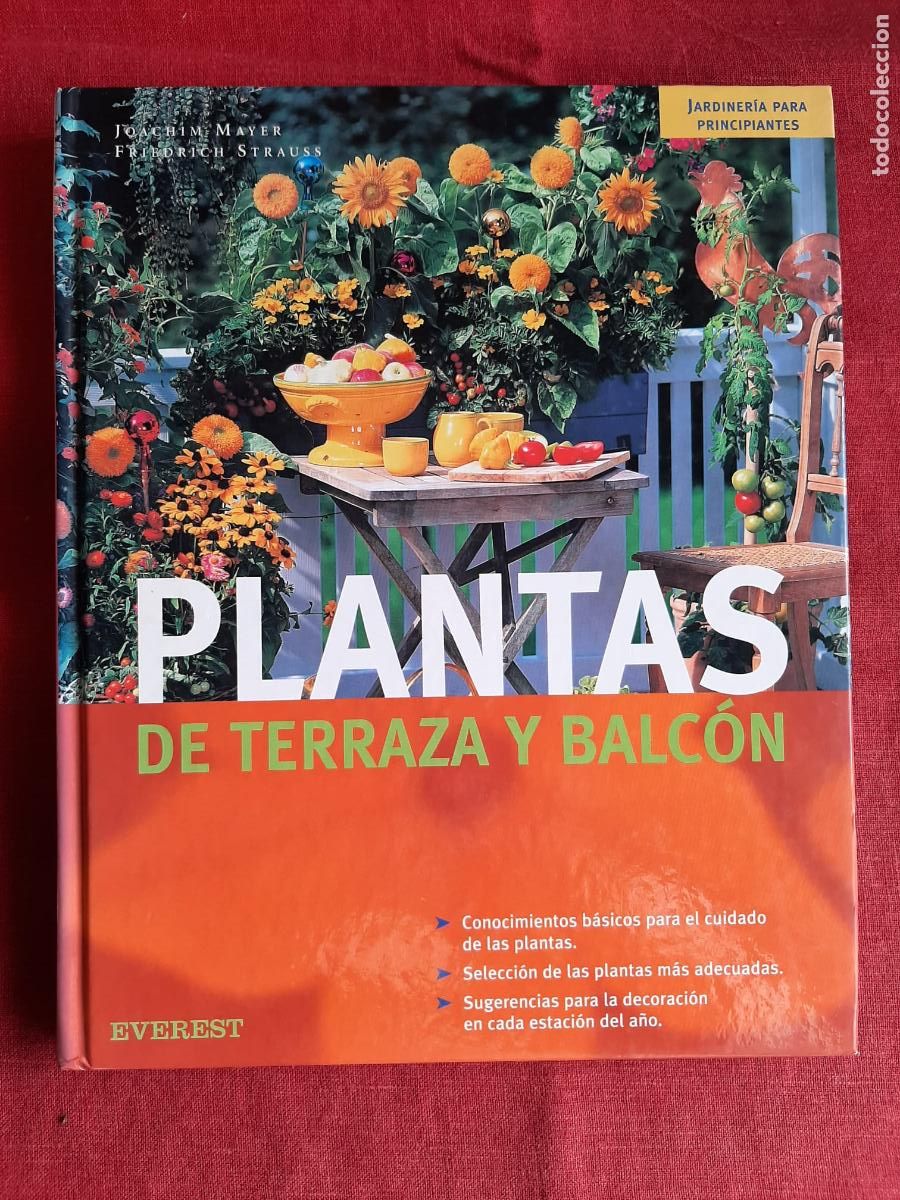 Gebrauchte B&uuml;cher: Plantas de terraza y balc&oacute;n - Mayer, Joachim; Strauss, Friedrich