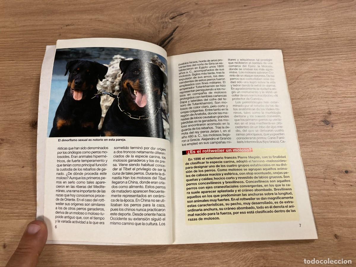 Libros de segunda mano: El Rottweiler Eduardo de Benito - Foto 5