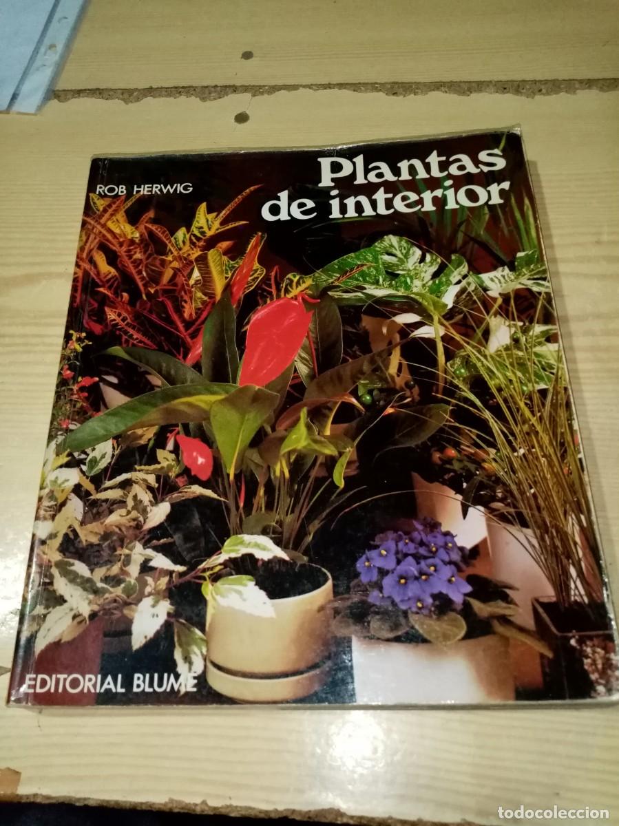 Libros de segunda mano: PLANTAS DE INTERIOR. ROB HERWIG EST17B5 - Foto 1