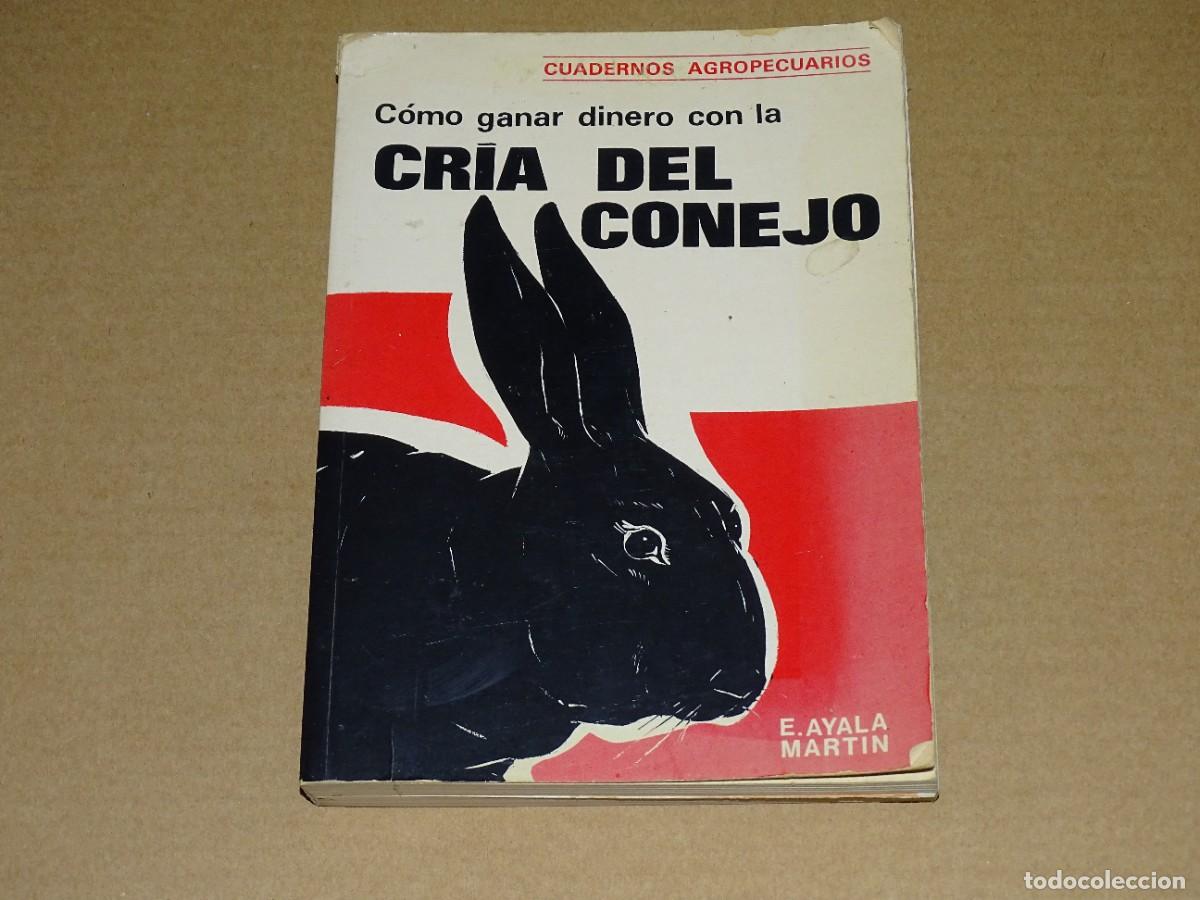Libros de segunda mano: C&oacute;mo ganar dinero con la cr&iacute;a del conejo. E. Ayala Mart&iacute;n. - Foto 1