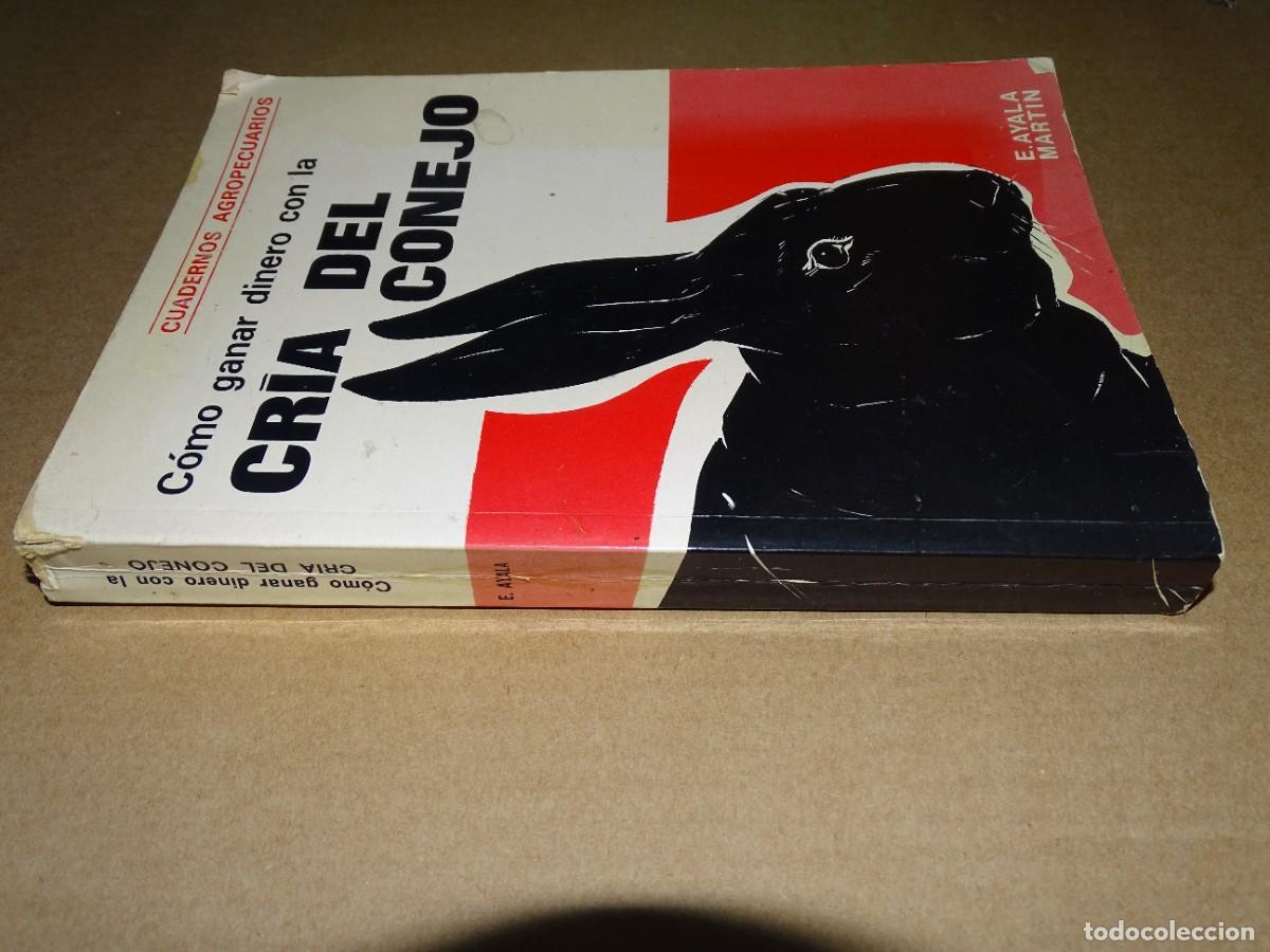 Libros de segunda mano: C&oacute;mo ganar dinero con la cr&iacute;a del conejo. E. Ayala Mart&iacute;n. - Foto 3
