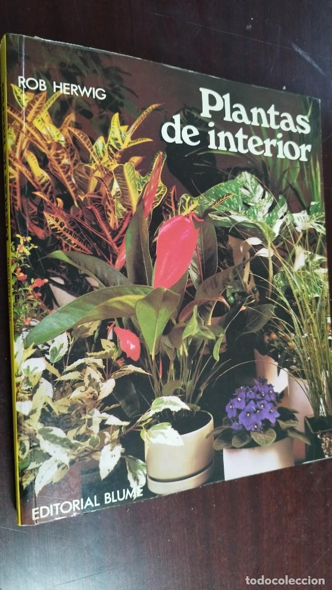 Libros de segunda mano: PLANTAS DE INTERIOR / ROB HERWIG / CJA 444 / BLUME - Foto 1