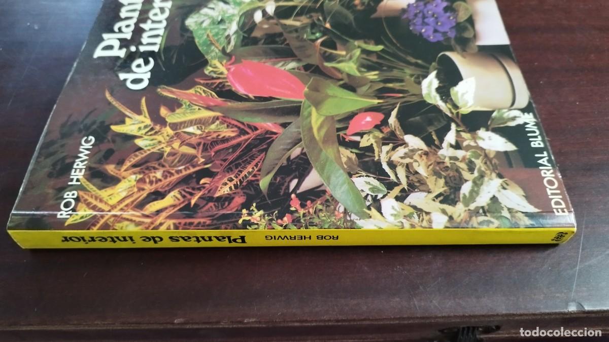 Libros de segunda mano: PLANTAS DE INTERIOR / ROB HERWIG / CJA 444 / BLUME - Foto 2