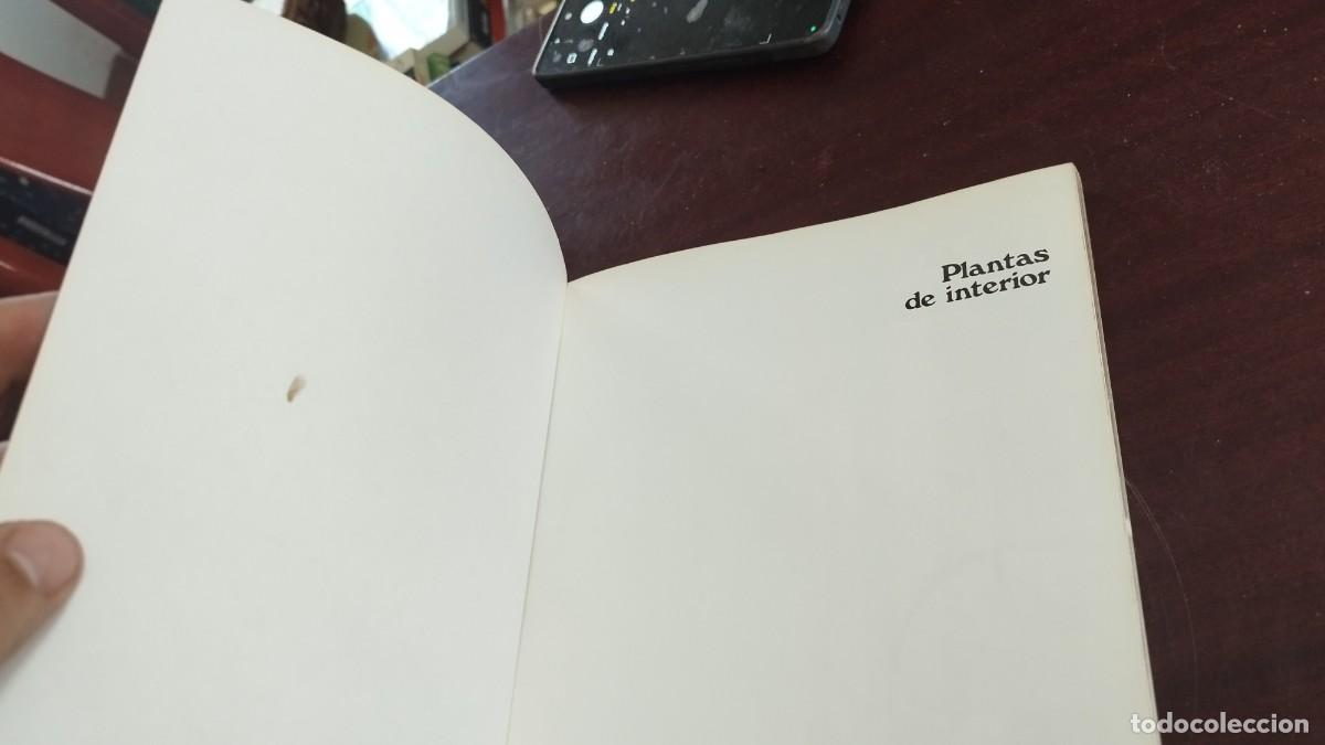 Libros de segunda mano: PLANTAS DE INTERIOR / ROB HERWIG / CJA 444 / BLUME - Foto 3