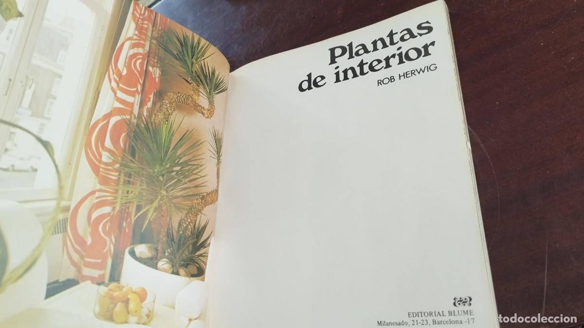 Libros de segunda mano: PLANTAS DE INTERIOR / ROB HERWIG / CJA 444 / BLUME - Foto 4