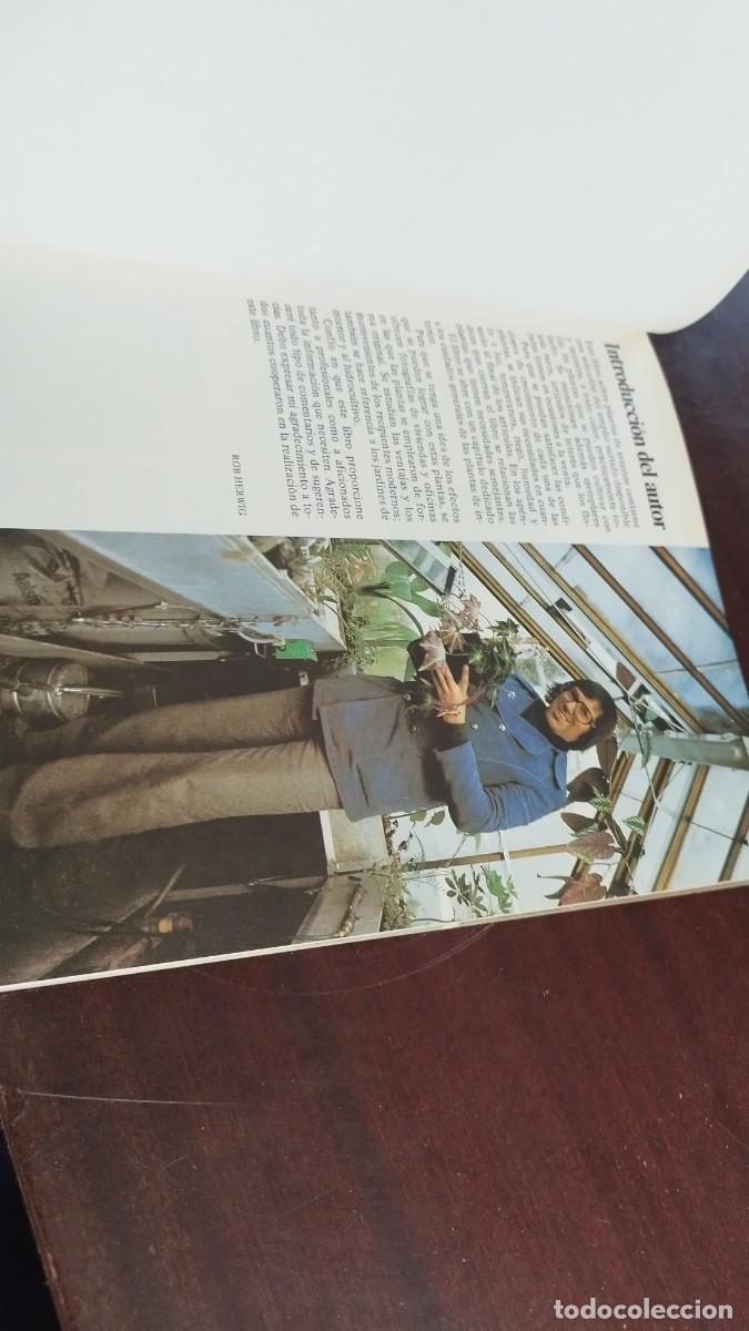Libros de segunda mano: PLANTAS DE INTERIOR / ROB HERWIG / CJA 444 / BLUME - Foto 6