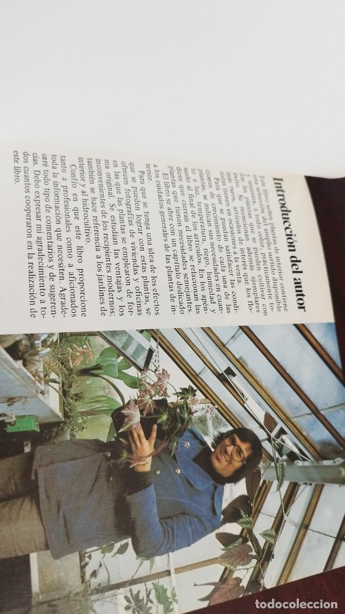 Libros de segunda mano: PLANTAS DE INTERIOR / ROB HERWIG / CJA 444 / BLUME - Foto 7