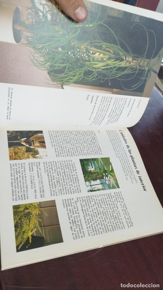 Libros de segunda mano: PLANTAS DE INTERIOR / ROB HERWIG / CJA 444 / BLUME - Foto 8