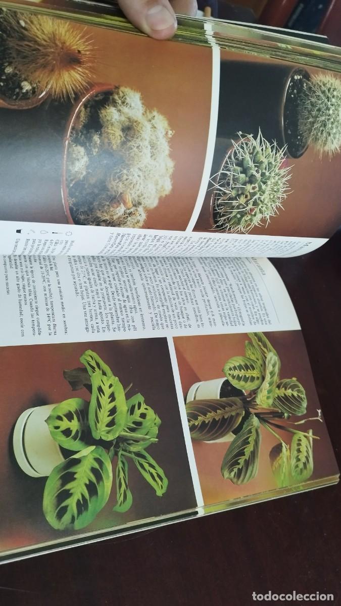 Libros de segunda mano: PLANTAS DE INTERIOR / ROB HERWIG / CJA 444 / BLUME - Foto 9