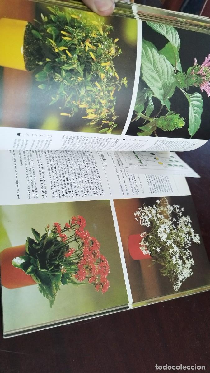 Libros de segunda mano: PLANTAS DE INTERIOR / ROB HERWIG / CJA 444 / BLUME - Foto 10