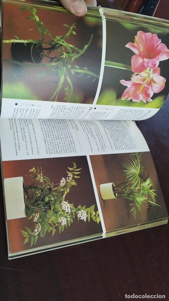 Libros de segunda mano: PLANTAS DE INTERIOR / ROB HERWIG / CJA 444 / BLUME - Foto 11