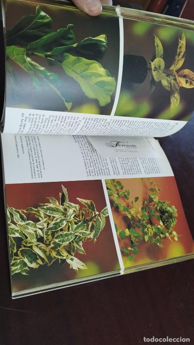 Libros de segunda mano: PLANTAS DE INTERIOR / ROB HERWIG / CJA 444 / BLUME - Foto 12