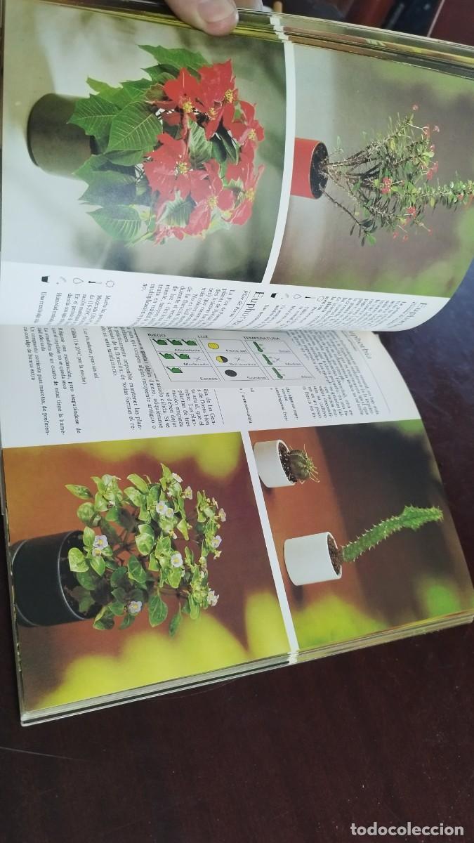 Libros de segunda mano: PLANTAS DE INTERIOR / ROB HERWIG / CJA 444 / BLUME - Foto 13