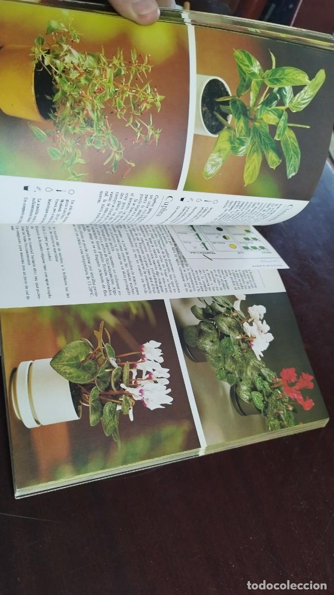 Libros de segunda mano: PLANTAS DE INTERIOR / ROB HERWIG / CJA 444 / BLUME - Foto 14