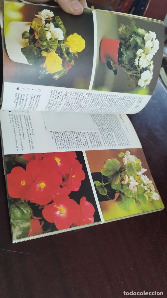 Libros de segunda mano: PLANTAS DE INTERIOR / ROB HERWIG / CJA 444 / BLUME - Foto 16