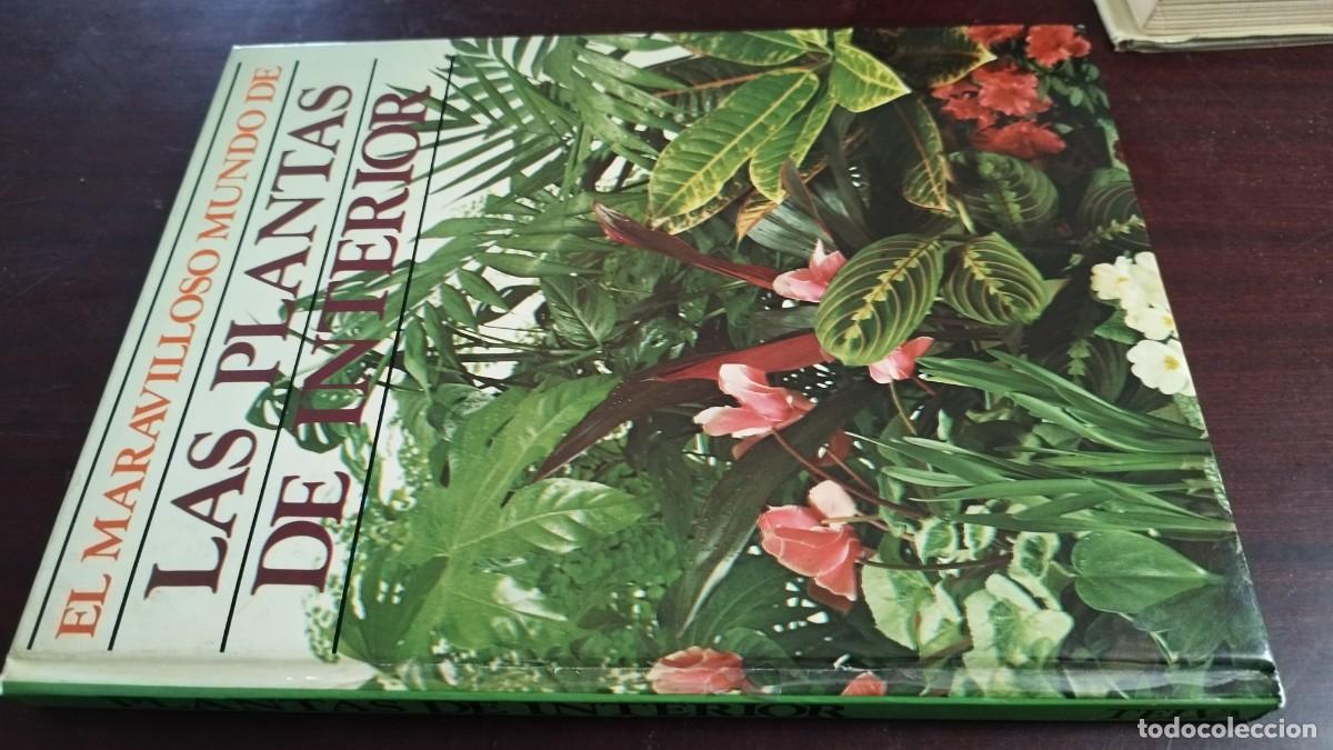 Libros de segunda mano: PLANTAS DE INTERIOR / ANN BONAR / CJA 444 / TELVA - Foto 1