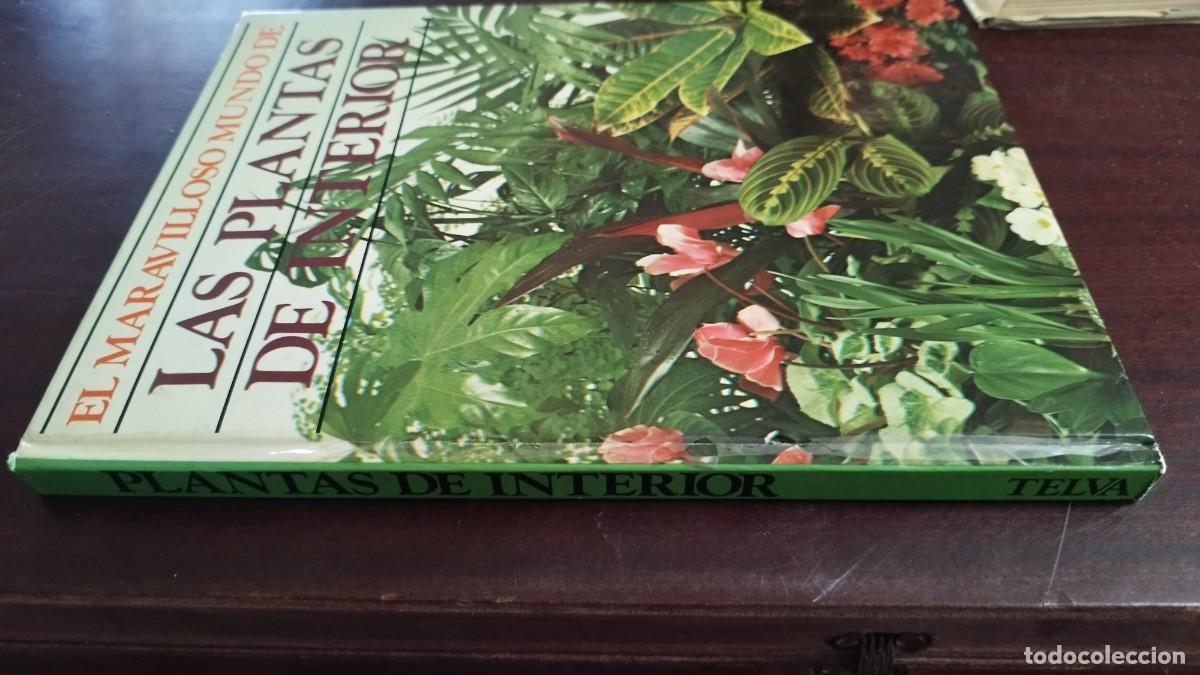 Libros de segunda mano: PLANTAS DE INTERIOR / ANN BONAR / CJA 444 / TELVA - Foto 2