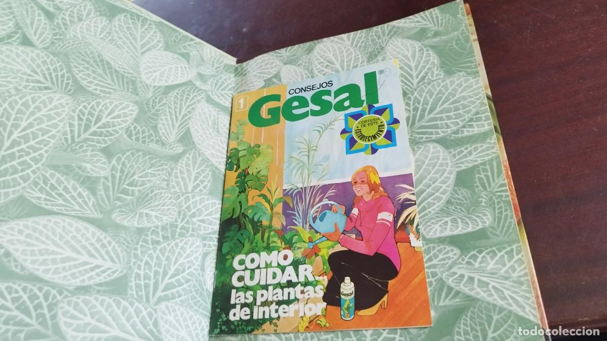 Libros de segunda mano: PLANTAS DE INTERIOR / ANN BONAR / CJA 444 / TELVA - Foto 3