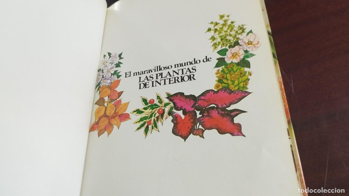 Libros de segunda mano: PLANTAS DE INTERIOR / ANN BONAR / CJA 444 / TELVA - Foto 4