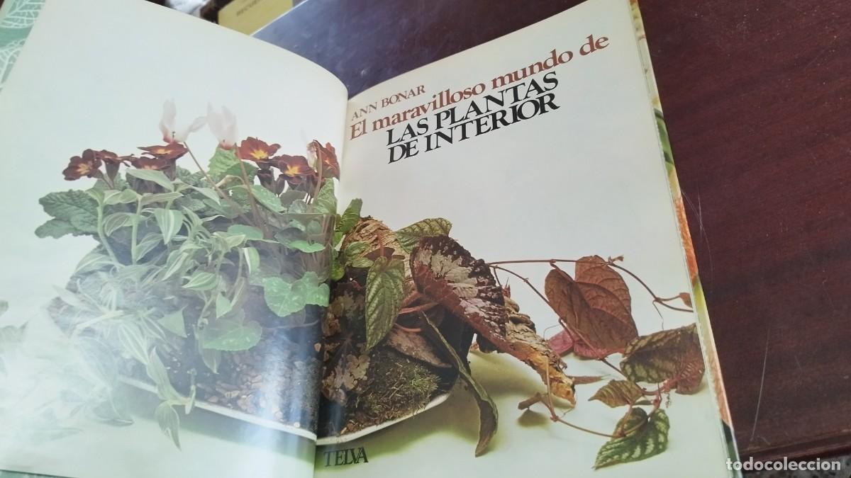 Libros de segunda mano: PLANTAS DE INTERIOR / ANN BONAR / CJA 444 / TELVA - Foto 5