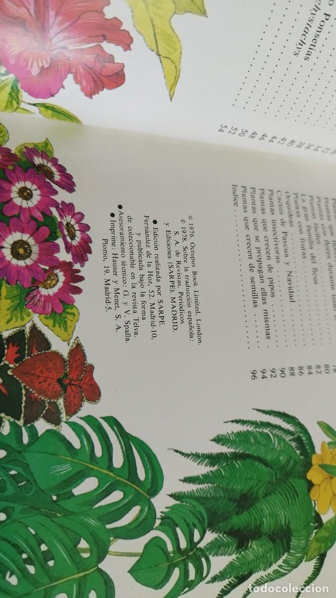 Libros de segunda mano: PLANTAS DE INTERIOR / ANN BONAR / CJA 444 / TELVA - Foto 6
