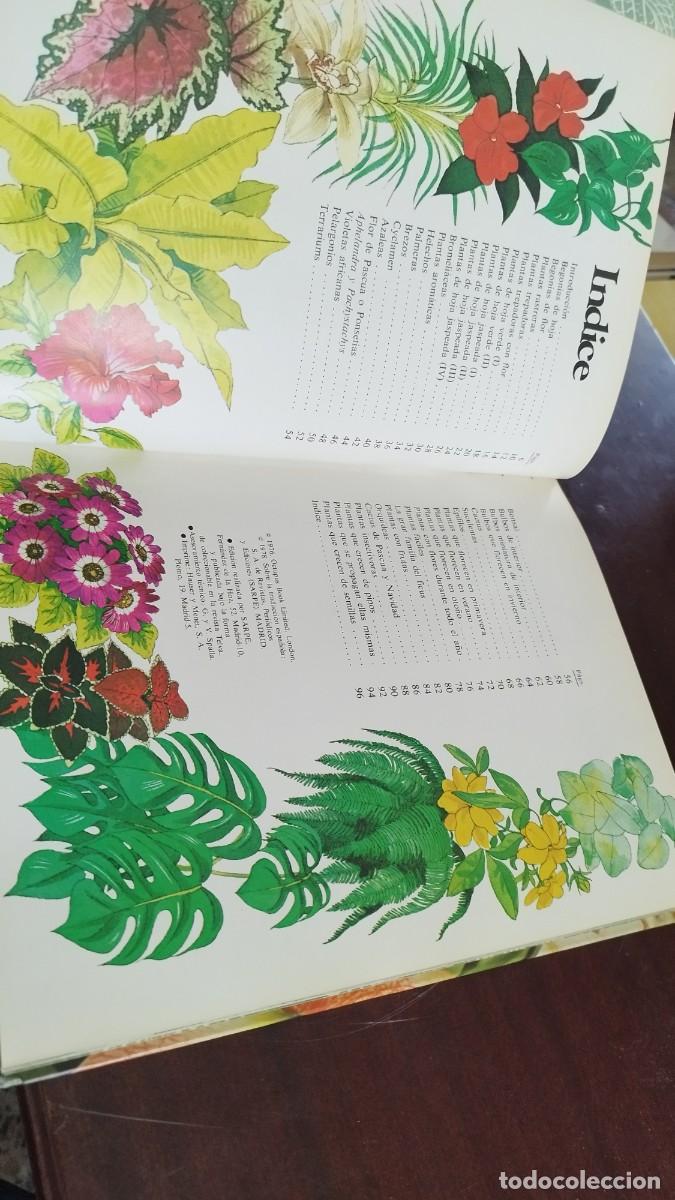 Libros de segunda mano: PLANTAS DE INTERIOR / ANN BONAR / CJA 444 / TELVA - Foto 7