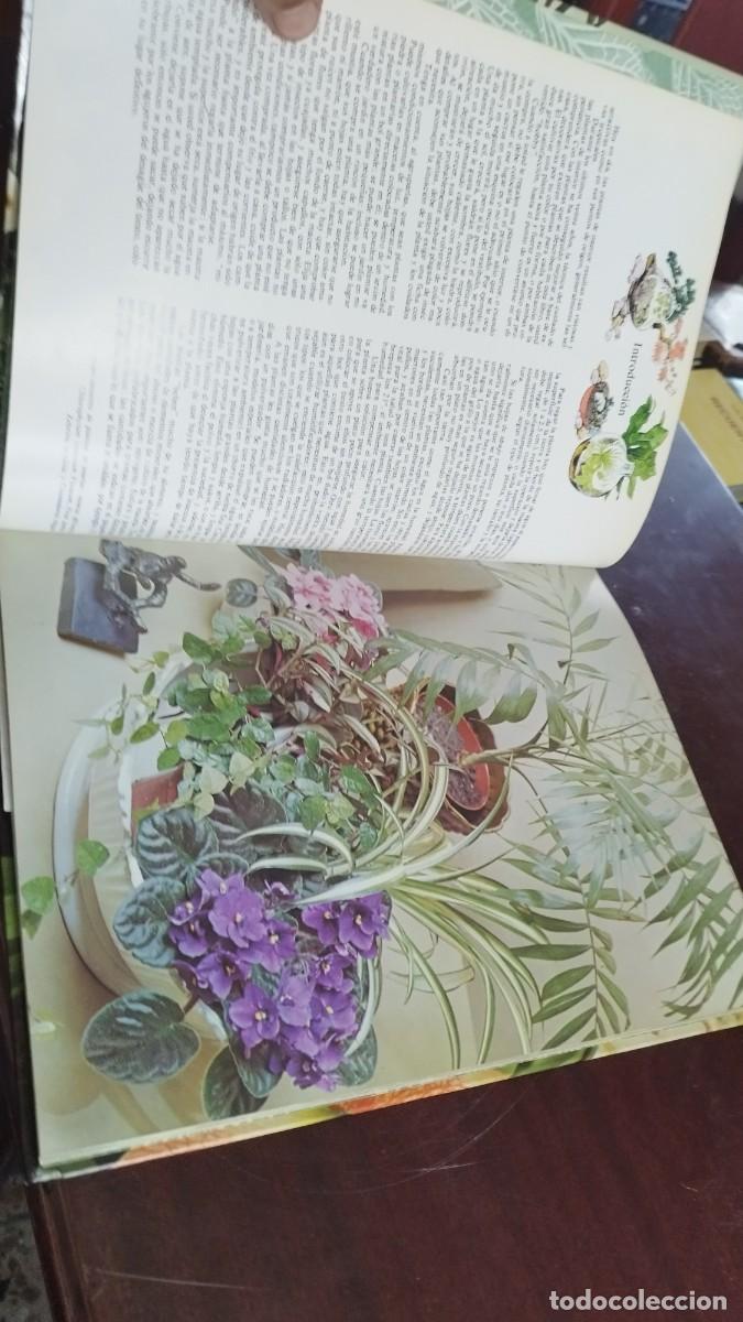 Libros de segunda mano: PLANTAS DE INTERIOR / ANN BONAR / CJA 444 / TELVA - Foto 8