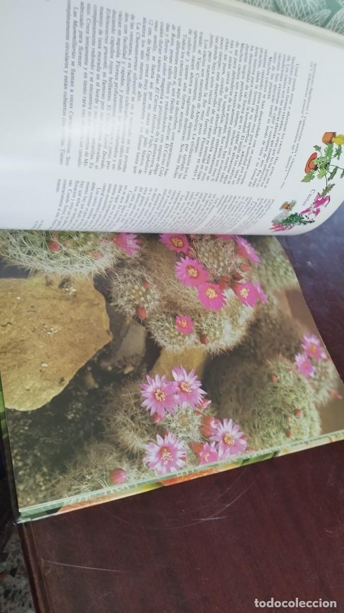 Libros de segunda mano: PLANTAS DE INTERIOR / ANN BONAR / CJA 444 / TELVA - Foto 9