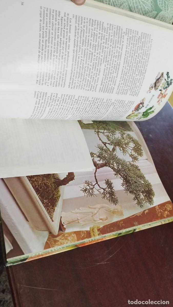 Libros de segunda mano: PLANTAS DE INTERIOR / ANN BONAR / CJA 444 / TELVA - Foto 10