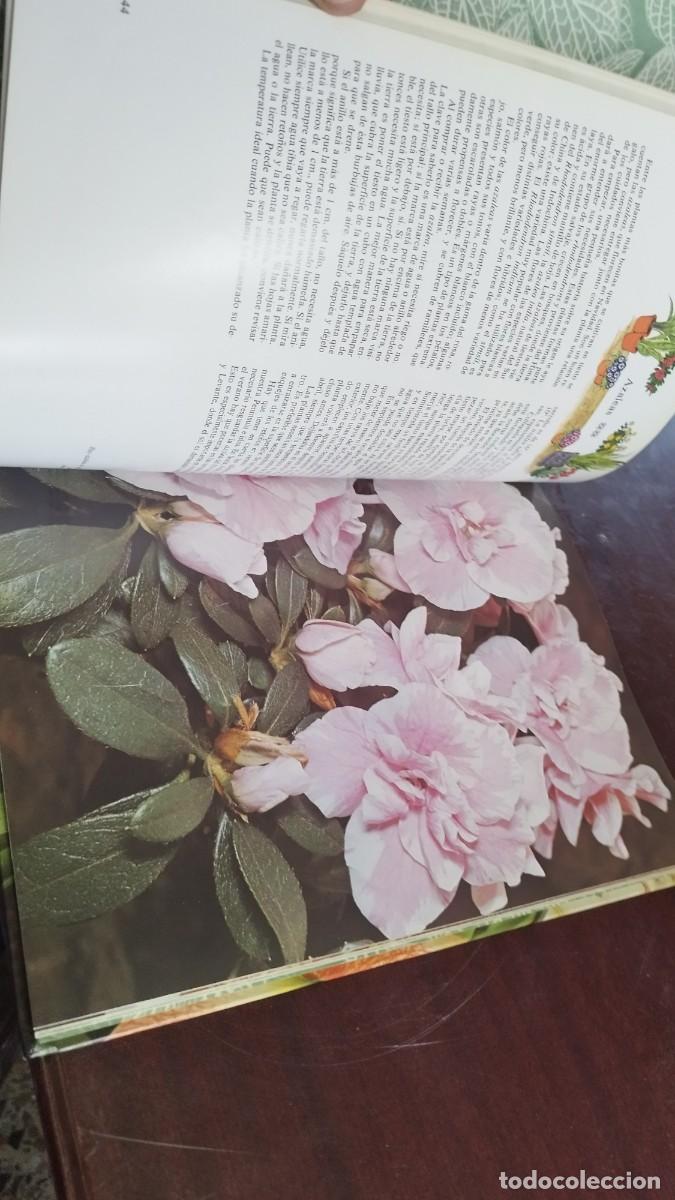 Libros de segunda mano: PLANTAS DE INTERIOR / ANN BONAR / CJA 444 / TELVA - Foto 11