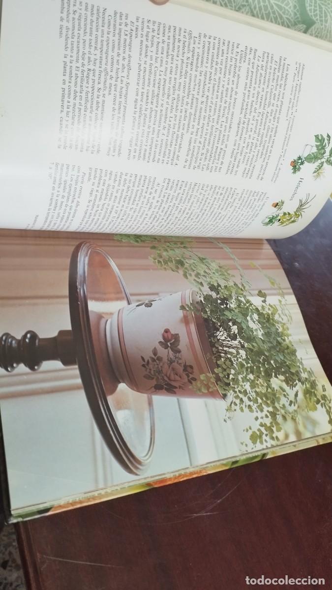 Libros de segunda mano: PLANTAS DE INTERIOR / ANN BONAR / CJA 444 / TELVA - Foto 12