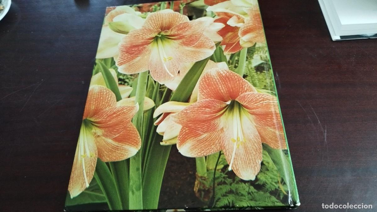 Libros de segunda mano: PLANTAS DE INTERIOR / ANN BONAR / CJA 444 / TELVA - Foto 15