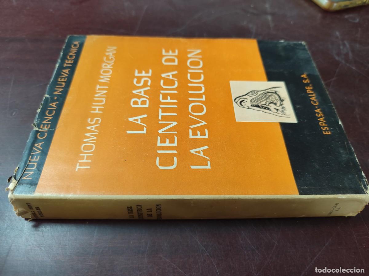 Libros de segunda mano: LA BASE CIENTIFICA DE LA EVOLUCION / THOMAS HUNT MORGAN / CJA 423 / ESPASA CALPE - Foto 1