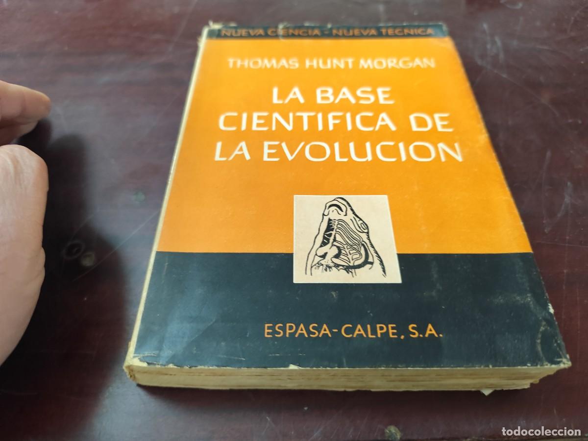 Libros de segunda mano: LA BASE CIENTIFICA DE LA EVOLUCION / THOMAS HUNT MORGAN / CJA 423 / ESPASA CALPE - Foto 2