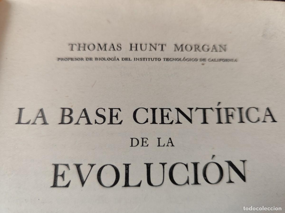 Libros de segunda mano: LA BASE CIENTIFICA DE LA EVOLUCION / THOMAS HUNT MORGAN / CJA 423 / ESPASA CALPE - Foto 5