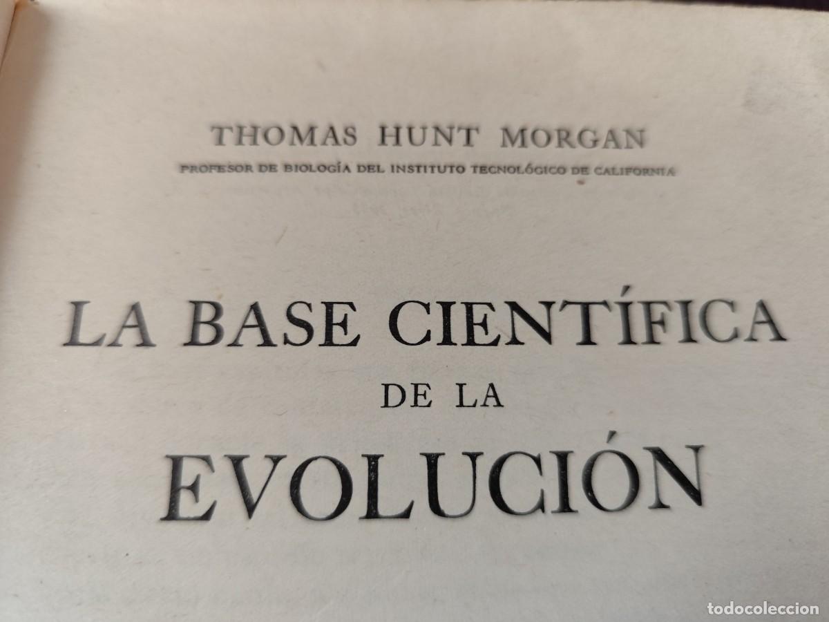 Libros de segunda mano: LA BASE CIENTIFICA DE LA EVOLUCION / THOMAS HUNT MORGAN / CJA 423 / ESPASA CALPE - Foto 6