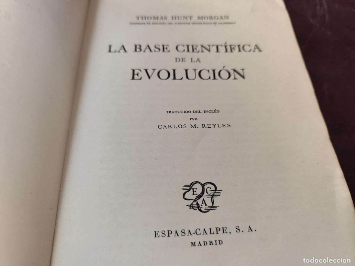 Libros de segunda mano: LA BASE CIENTIFICA DE LA EVOLUCION / THOMAS HUNT MORGAN / CJA 423 / ESPASA CALPE - Foto 7